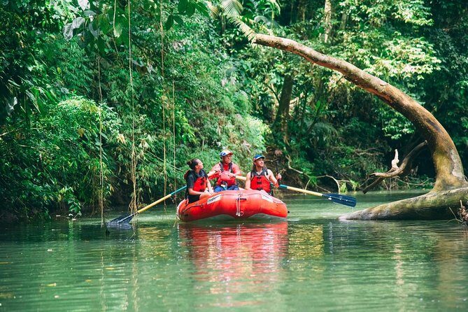 Jungle Safari Float on Sarapiqui River from La Fortuna - Key Points