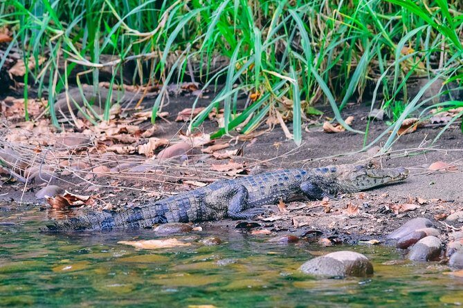 Jungle Safari Float on Sarapiqui River from La Fortuna - A Detailed Look at the Sarapiqui Safari Float Experience