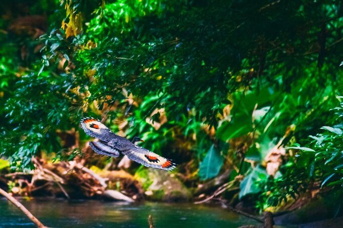 Jungle Safari Float on Sarapiqui River from La Fortuna - Concluding Thoughts