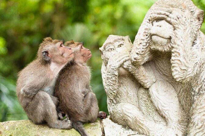 Jungle Swing - Volcano - Water Temple - Monkey Forest and Waterfall Tour - Discover Bali’s Natural and Cultural Gems with the Jungle Swing - Volcano - Water Temple - Monkey Forest and Waterfall Tour