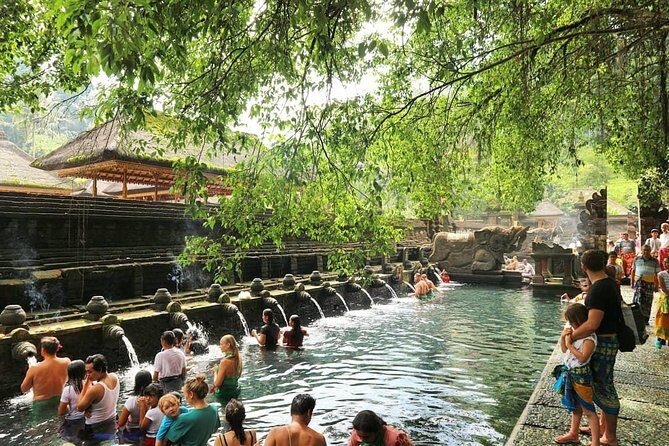 Jungle Swing - Volcano - Water Temple - Monkey Forest and Waterfall Tour - A Deep Dive Into What This Tour Offers