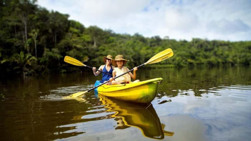 Jungle Tambopata 2D |Monkey Island + Search for alligators| - An In-Depth Look at the Jungle Tambopata 2D Tour