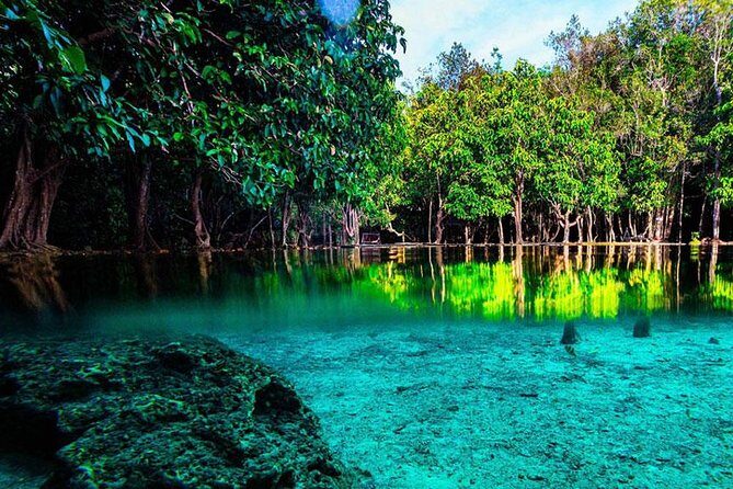 Jungle Tour to Emerald Pool, Krabi Hot Spring and Tiger Cave Temple - Authentic Traveler Insights from Reviews