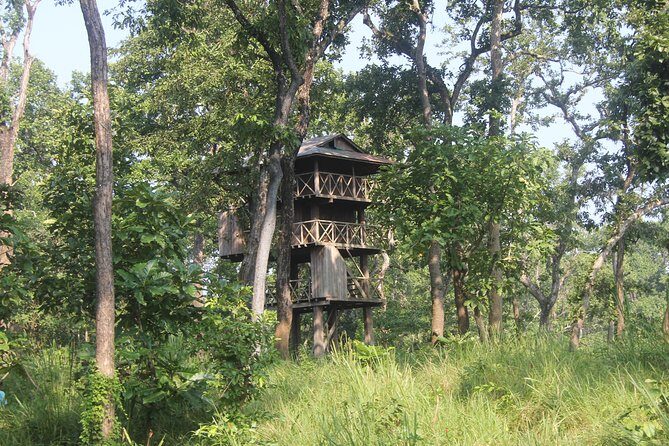 Jungle Towernight Stay In Chitwan National Park ,nepal-2 Nights 3 Days Package - Experience the Wilderness: Jungle Tower Night Stay in Chitwan National Park