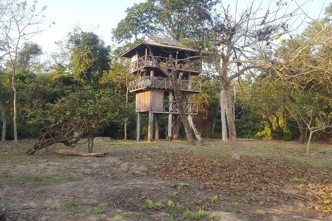 Jungle Towernight Stay In Chitwan National Park ,nepal-2 Nights 3 Days Package - Why This Tour Offers Great Value