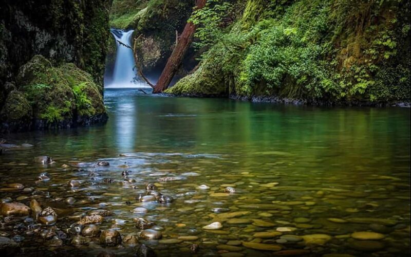 Jungle Trails & Tiger Tales:3-Day dual Safari to Jim Corbett - Practical Insights and Value