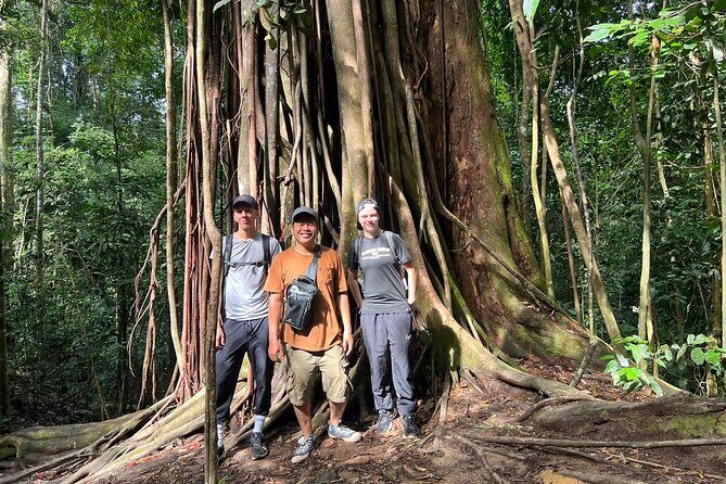 Jungle trekking Bukitlawang - Exploring Bukitlawang Jungle Trekking in Depth