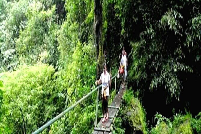 Jungle Trekking Day Tour - An Up-Close Look at the Jungle Trekking Experience