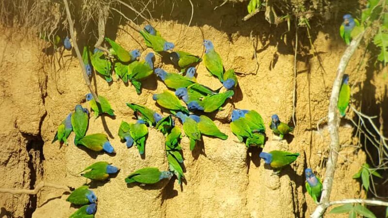 JUNGLE TRIP TO MANU PARK 3D/2N - Key Points