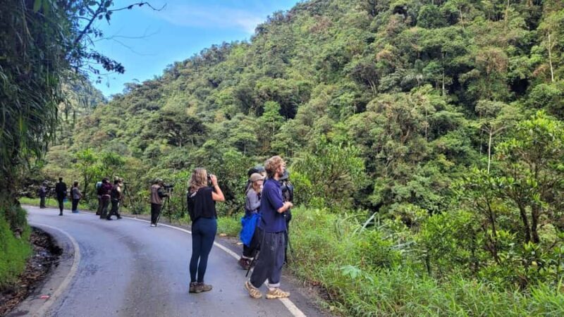 JUNGLE TRIP TO MANU PARK 3D/2N - From Cusco to the Heart of the Rainforest