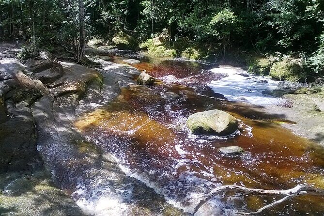 Jungle Walking with Caves and Waterfalls in Amazon Full Day Tour - Transport and Logistics: What to Expect