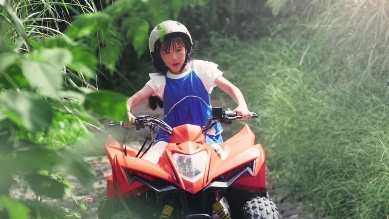 JUNGLIA Ticket in Okinawa - Choose rides to match your appetite
