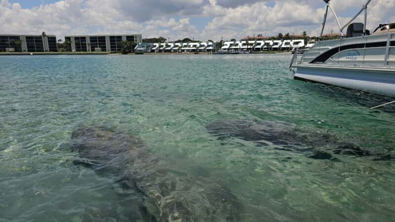 Jupiter: Private Sightseeing Boat Tour With Wildlife - Exploring Jupiter by Boat: A Guide to the Experience