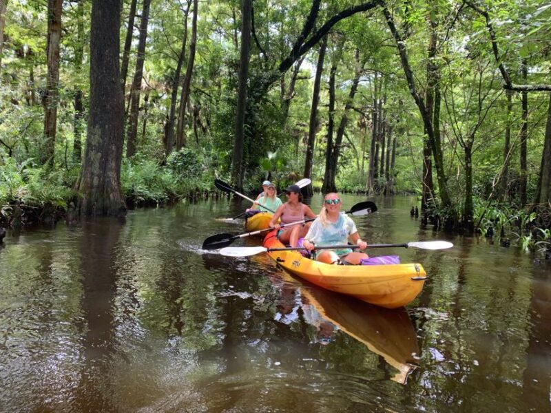 Jupiter: Wild and Scenic Loxahatchee River Kayak Tour - Exploring the Wild & Scenic Loxahatchee River