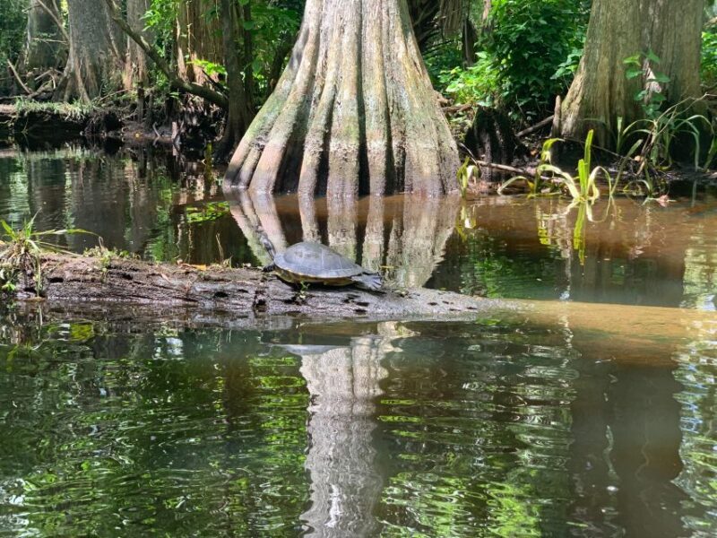 Jupiter: Wild and Scenic Loxahatchee River Kayak Tour - FAQ