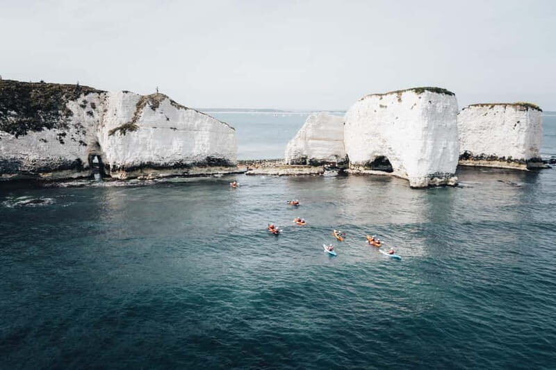 Jurassic Coast Kayaking Tour to Old Harry Rocks - Wildlife & Coastal Ecology