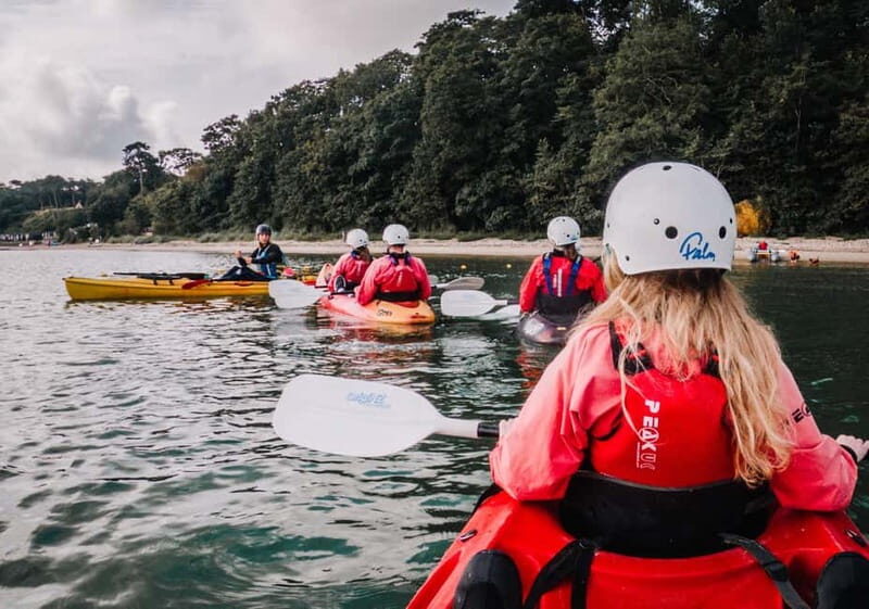 Jurassic Coast Kayaking Tour to Old Harry Rocks - Final Thoughts: Is This the Right Tour for You?