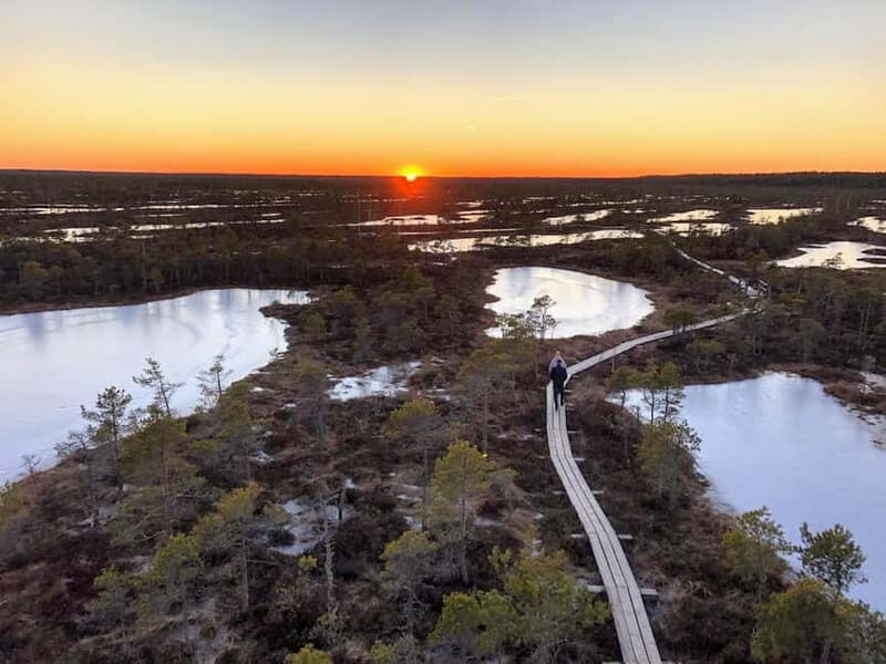 Jurmala: Kemeri National Park Sunset Trip - Who Will Love This Tour?