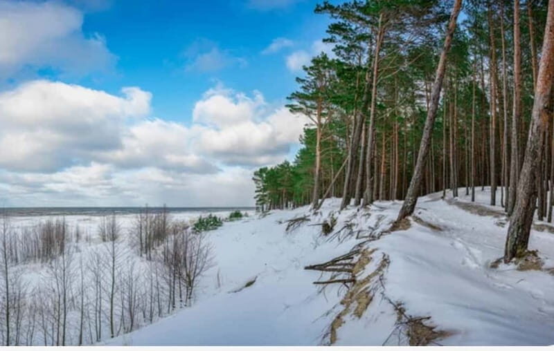 Jurmala,Kuldiga, Ragaciems beach, Kemeri N Park,Food & drink - Who Will Love This Tour?