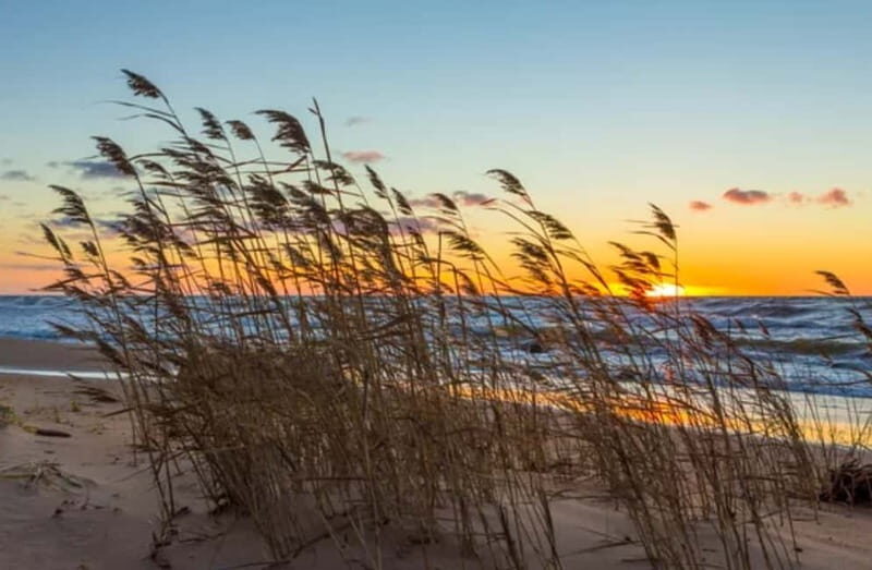 Jurmala,Kuldiga, Ragaciems beach, Kemeri N Park,Food & drink - FAQ
