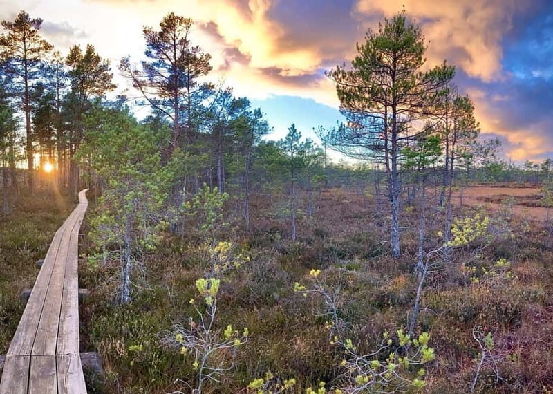 Jurmala,Kuldiga,Ragaciems Beach, Kemeri N park, Food & Drink - Why This Tour Works Well