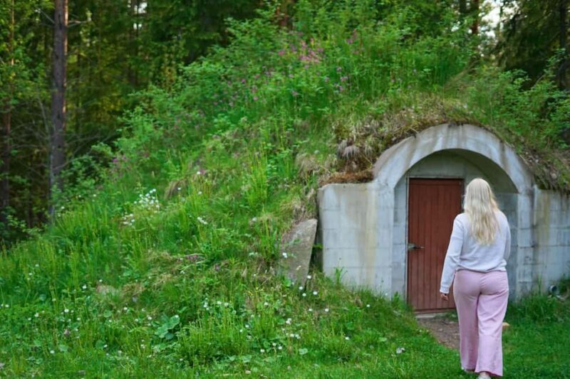 Jyväskylä: Cottage Day with Locals and Sauna & Campfire Food - Experience the Heart of Finnish Nature: Cottage Day with Sauna & Campfire Food in Jyväskylä