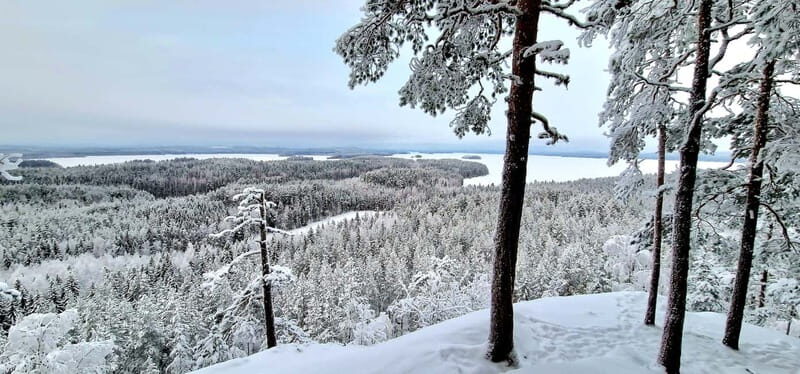 Jyvaskyla: Ice Fishing Experience with a Finnish Guide - A Deep Dive into the Finnish Ice Fishing Adventure