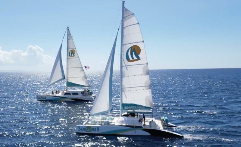 Kaanapali: Whale Watching Cruise with Open Bar - The Sum Up