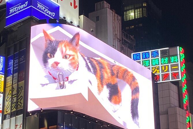 KABUKICHO DEEP TOUR + DINNER & BAR HOP w/local certified guide - Exploring the Hidden Heart of Shinjuku: A Deep Dive into the Kabukicho Tour