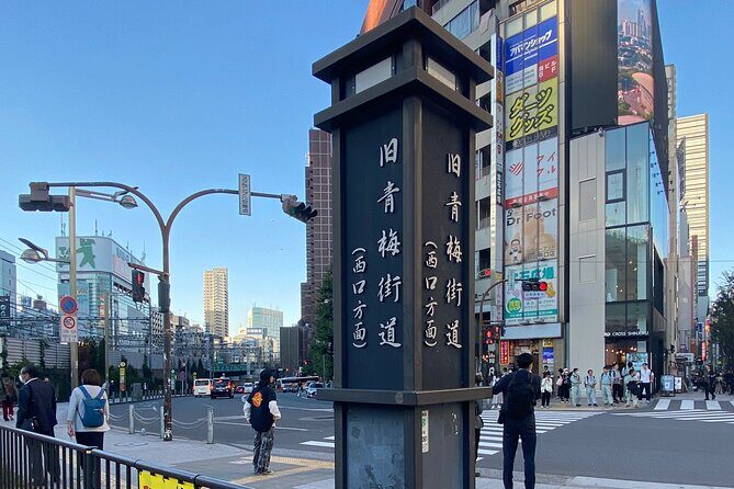 KABUKICHO DEEP TOUR + DINNER & BAR HOP w/local certified guide - Who Should Consider This Tour?