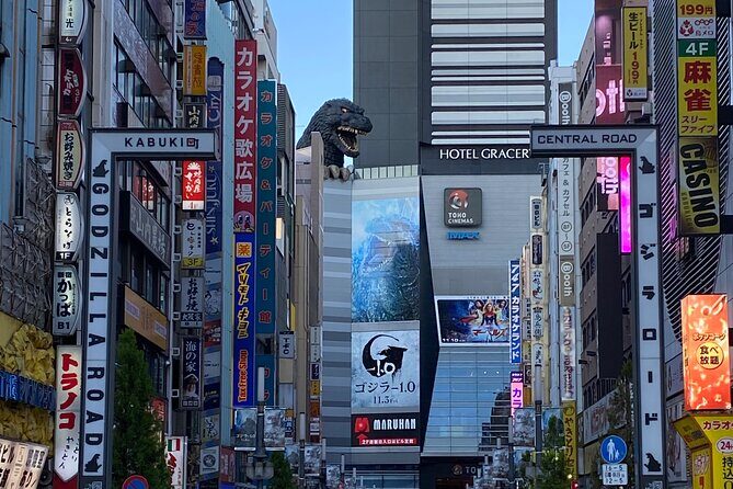 KABUKICHO DEEP TOUR + DINNER & BAR HOP w/local certified guide - Final Thoughts
