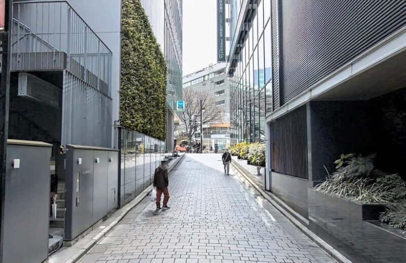 Kabukicho Macabre Tour - the Real Tokyo Vice - Key Points