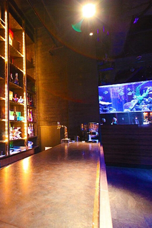 Kabukicho, Shinjuku: experiencing Japanese Host Club - Key Points