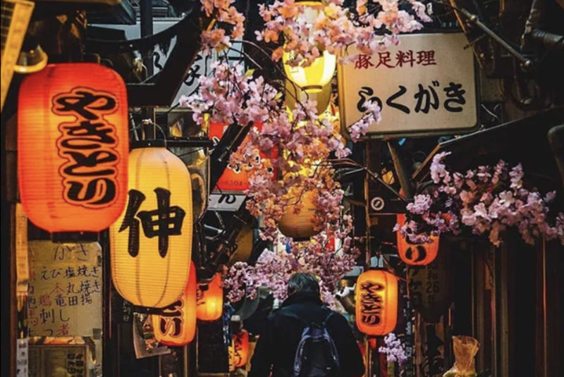 Kabukicho & Shinjuku Golden Gai Half-day Guided & City Highlights Tour - A guided introduction to Shinjuku’s named highlights