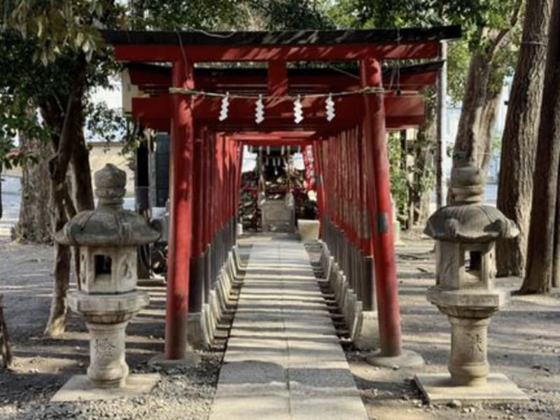 Kabukicho & Shinjuku Golden Gai Half-day Guided & City Highlights Tour - Who is likely to get the most from this tour