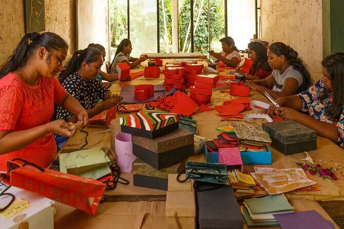 Kadadasi and the Backyard Forest - Key Points