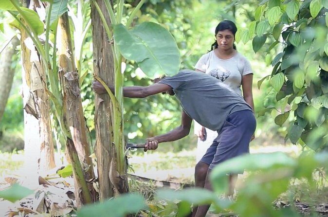 Kadadasi and the Backyard Forest - Authenticity and Balance: The Pros and Cons