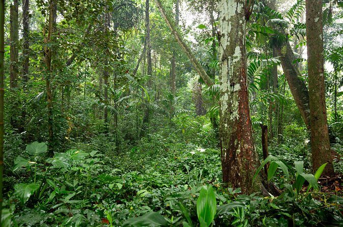 Kadadasi and the Backyard Forest - Final Thoughts: Why You Should Consider This Tour