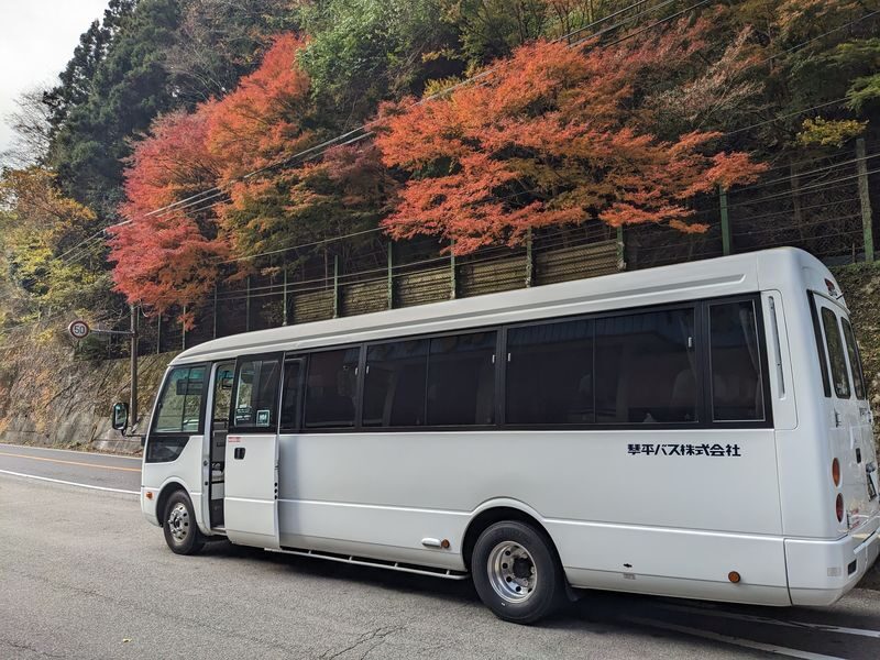 Kagawa/Kotohira Departure/Arrival: Half-Day Bus Tour of Secret Scenery: Oboke Gorge & Kazura Bridge - A Morning Schedule With Little Slack