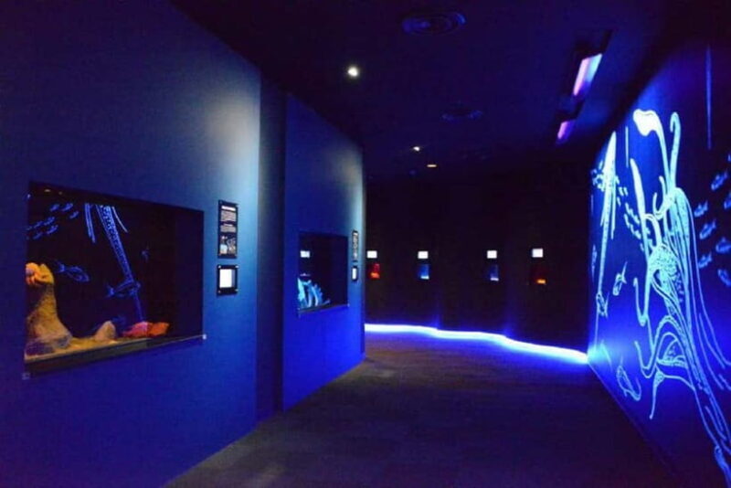 Kagoshima Aquarium Admission Ticket - An Up-Close Look at Kagoshima Aquarium