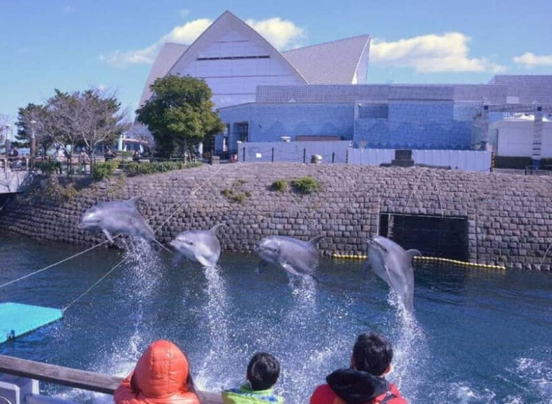 Kagoshima Aquarium Admission Ticket - Who Should Visit?