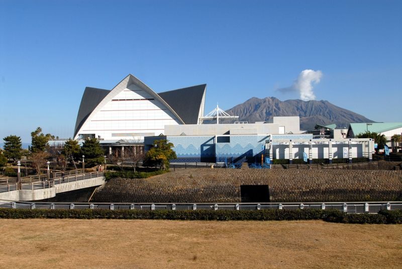 Kagoshima City Aquarium Ticket in Kyushu - Start With the Kuroshio Tank