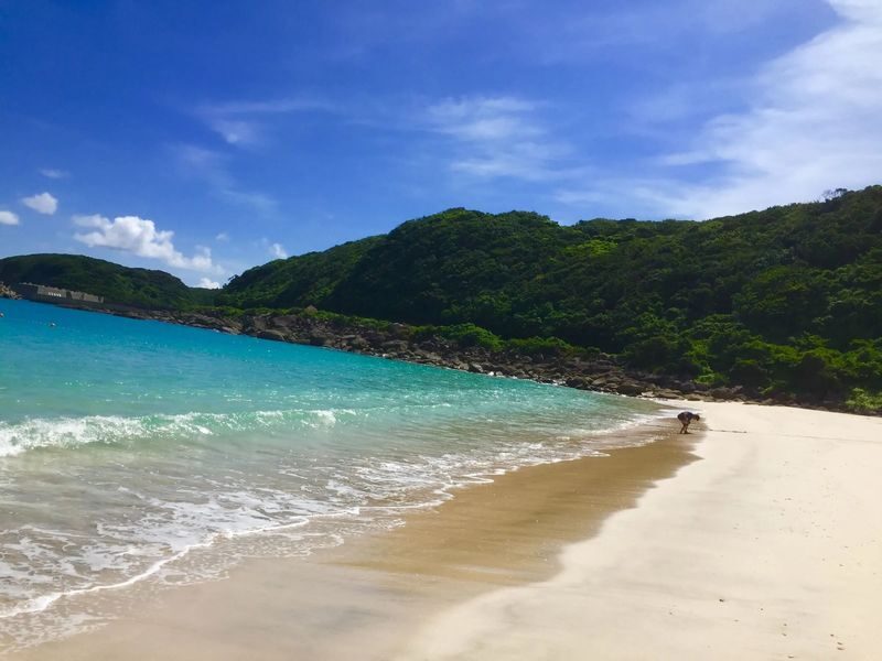 Kagoshima Day Tour: Hike World Heritage Yakushima by Express Jetfoil - Who should choose this Yakushima day tour