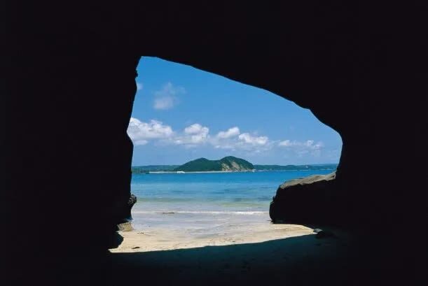 Kagoshima Day Tour: Hike World Heritage Yakushima by Express Jetfoil - Should you book it?