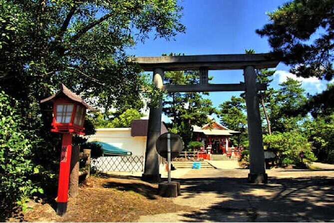 Kagoshima Family-Friendly Adventure - Why This Tour Offers Excellent Value