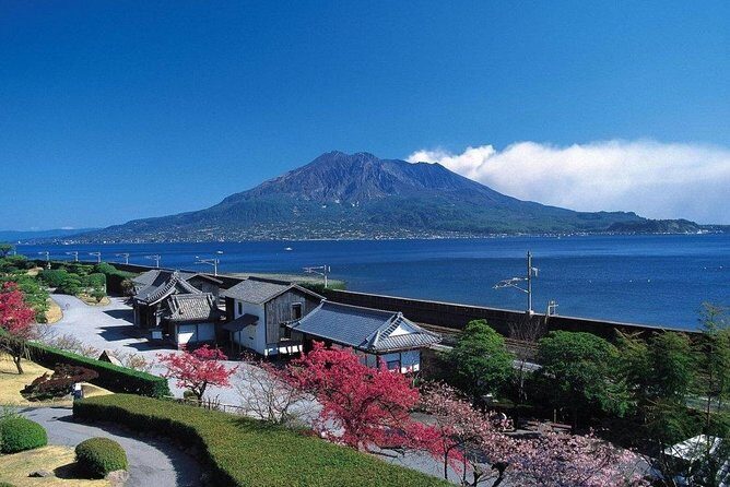 Kagoshima Full-Day Private Tour with Government-Licensed Guide - Key Points