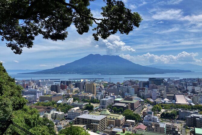 Kagoshima Half-Day Sightseeing Tour - Who Should Consider This Tour?