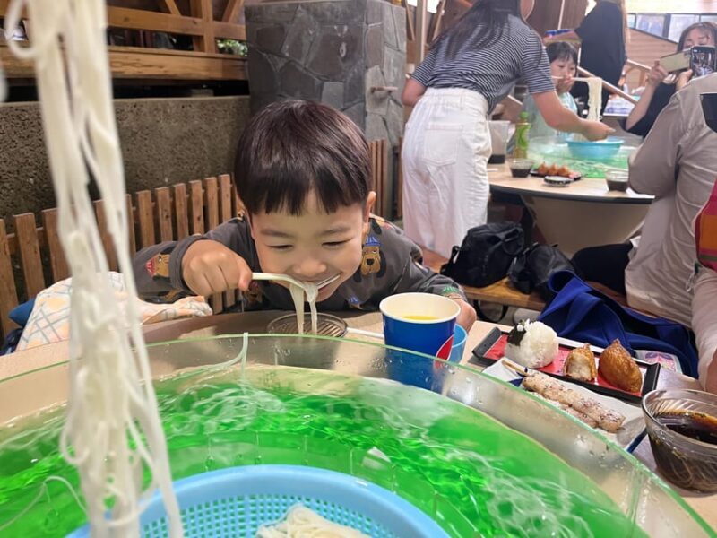 Kagoshima: Ibusuki City and Mount Kaimon Dake Tour - Final Thoughts