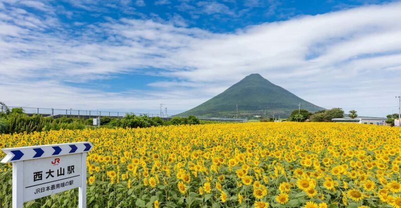 Kagoshima: Ibusuki City and Mount Kaimon Dake Tour - FAQ