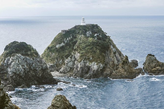 Kagoshima Private Customizable Half Day Tour - The Experience and What Travelers Say